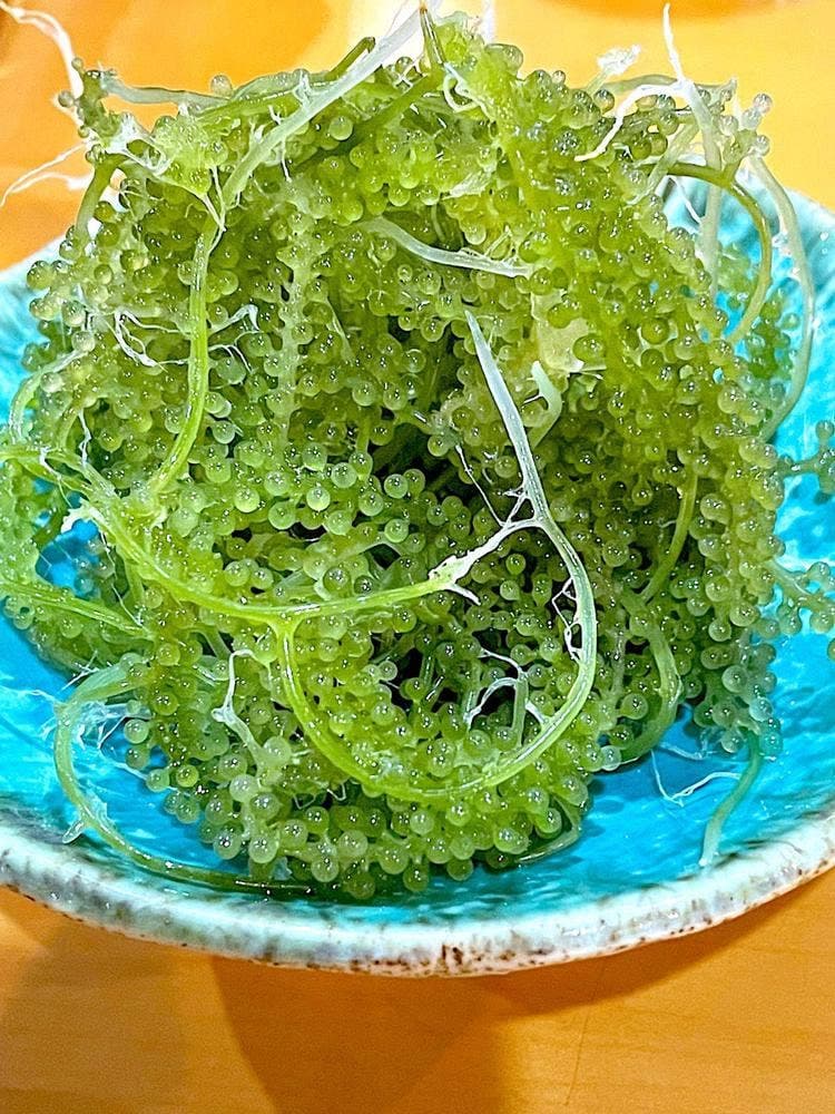 美ら島真心