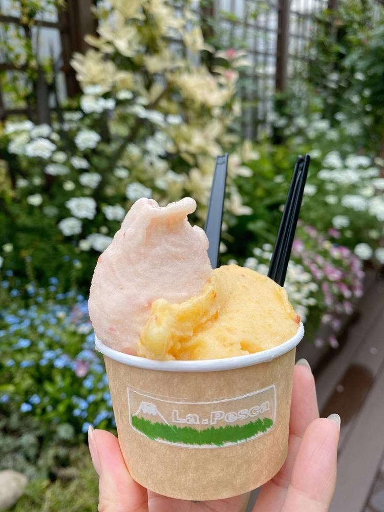 丘の上の小さなジェラテリア ラ・ペスカ