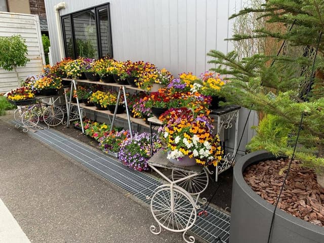 FOOD&FLOWER Fun! - サブ画像1