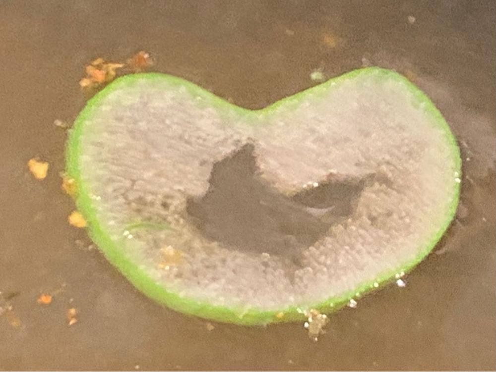 麻布永坂 更科本店 都庁議会棟店