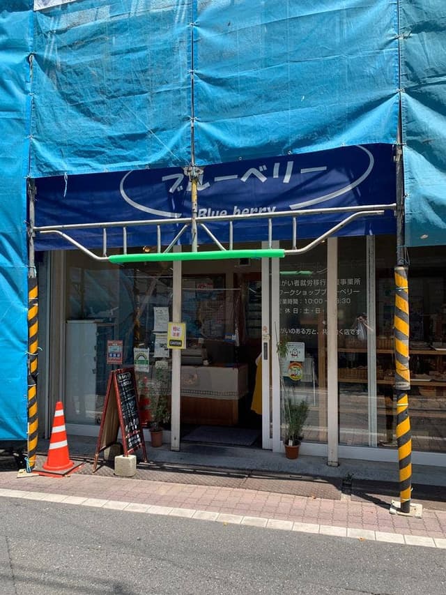 ワークショップ ブルーベリー - サブ画像1