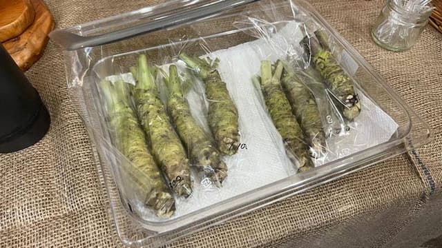 独鈷沢わさび園 - サブ画像1