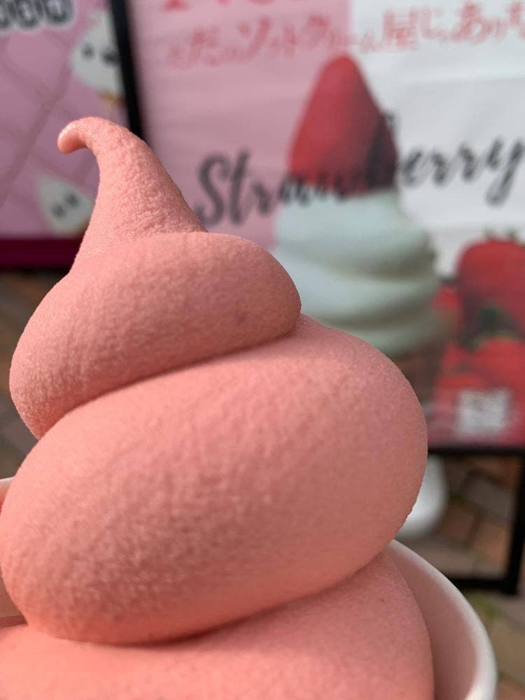 NO NO NO ただのソフトクリーム屋じゃありません