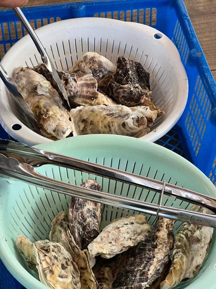マルモ水産 九十九島海上かき小屋