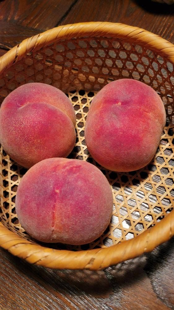 見晴し園 - サブ画像2