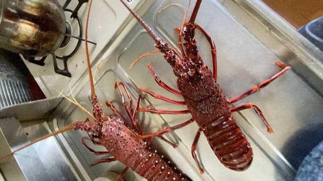 活魚センター 大昌 - サブ画像2