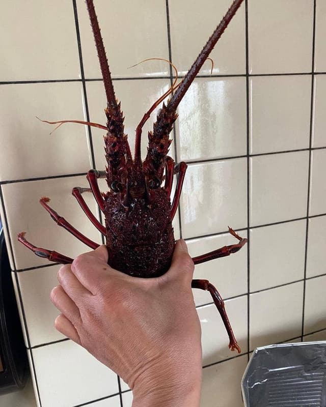 活魚センター 大昌 - サブ画像1
