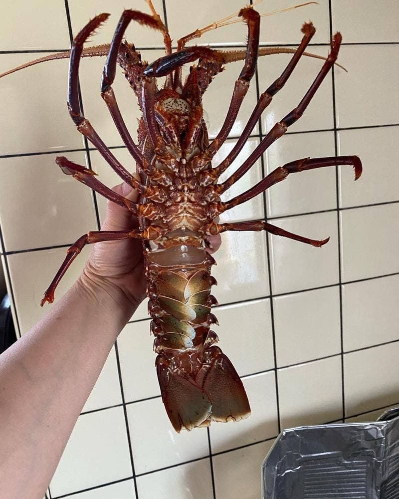 活魚センター 大昌