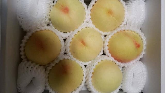 JUICE BAR momo 近鉄百貨店 和歌山店 - サブ画像1