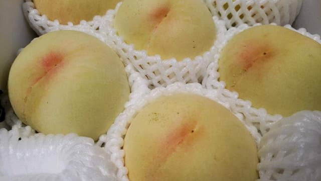 JUICE BAR momo 近鉄百貨店 和歌山店 - サブ画像2