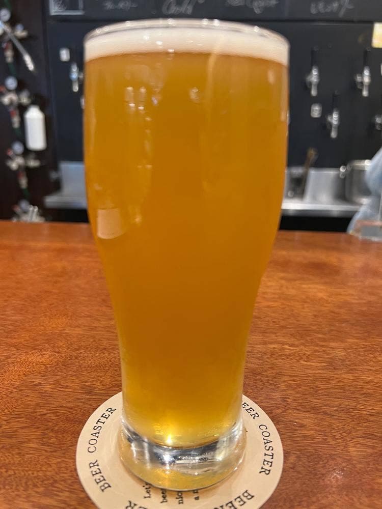 プラチナフィッシュ クラフトビアバル アトレ川崎店