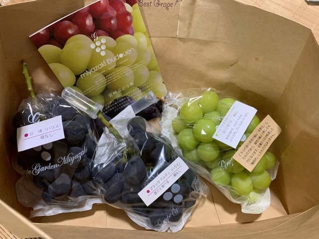 宮崎ぶどう園カフェ - サブ画像1