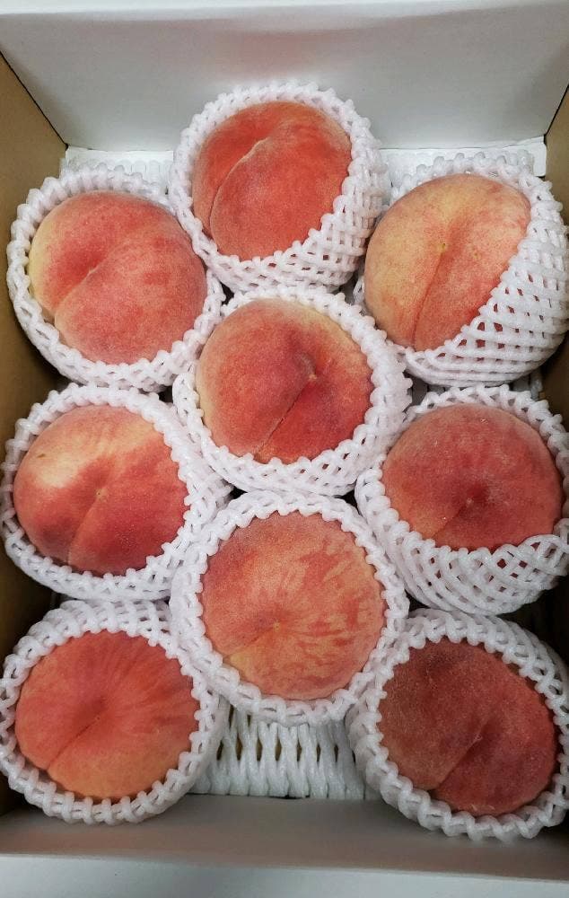 道の駅 天童温泉