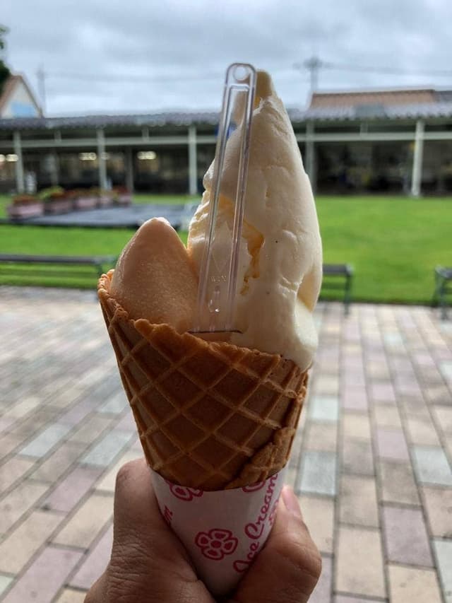 アイスクリーム工房 はがジェラート 道の駅はが - サブ画像2