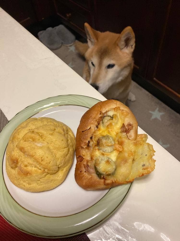 パン工房プクムク