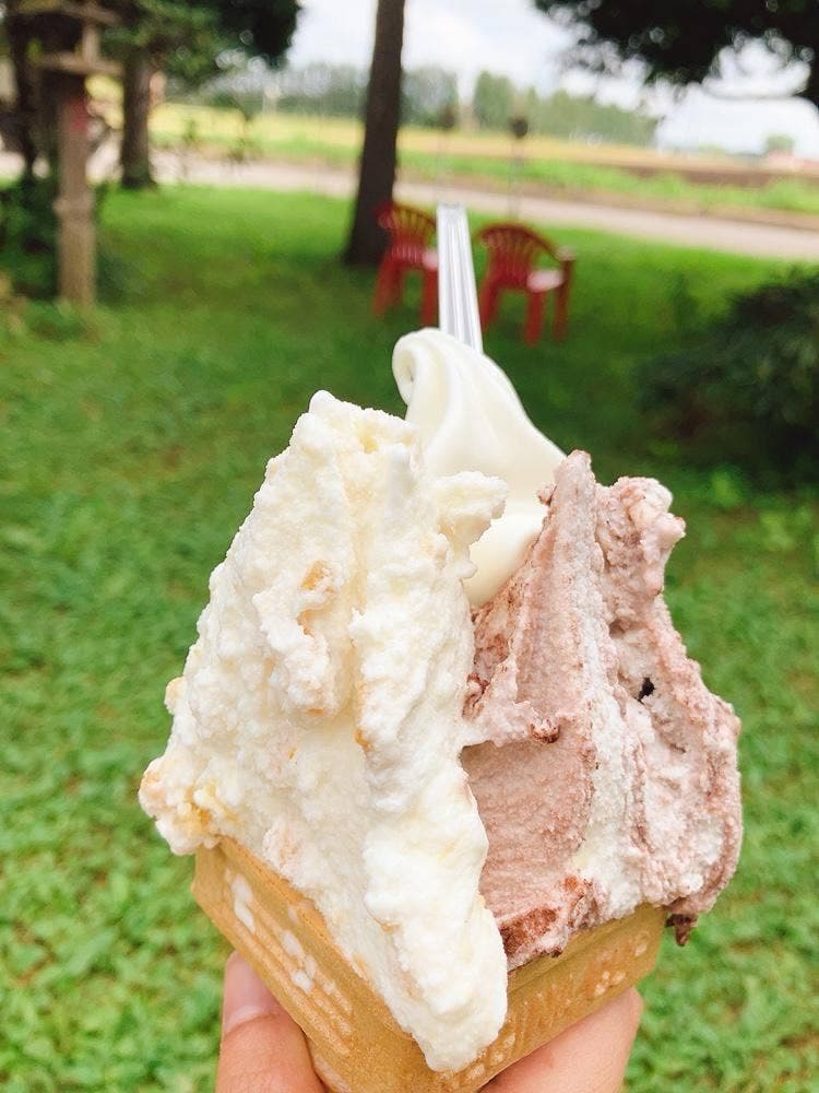 ウエモンズハート