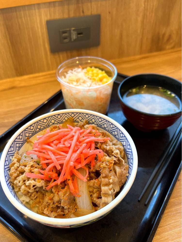 吉野家 230号線藻岩店