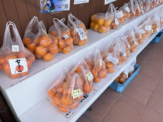 道の駅 紀宝町ウミガメ公園 売店 レストラン - サブ画像2