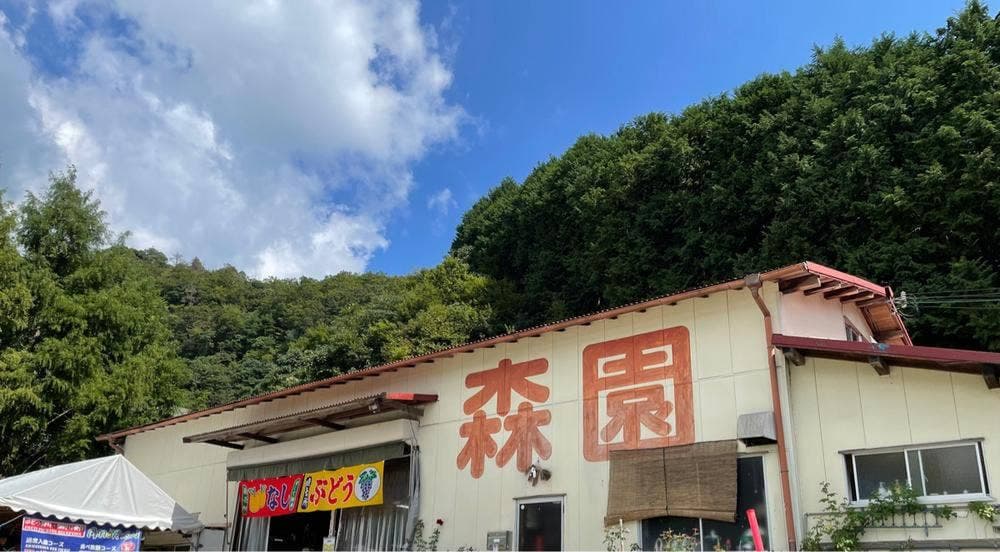 森園