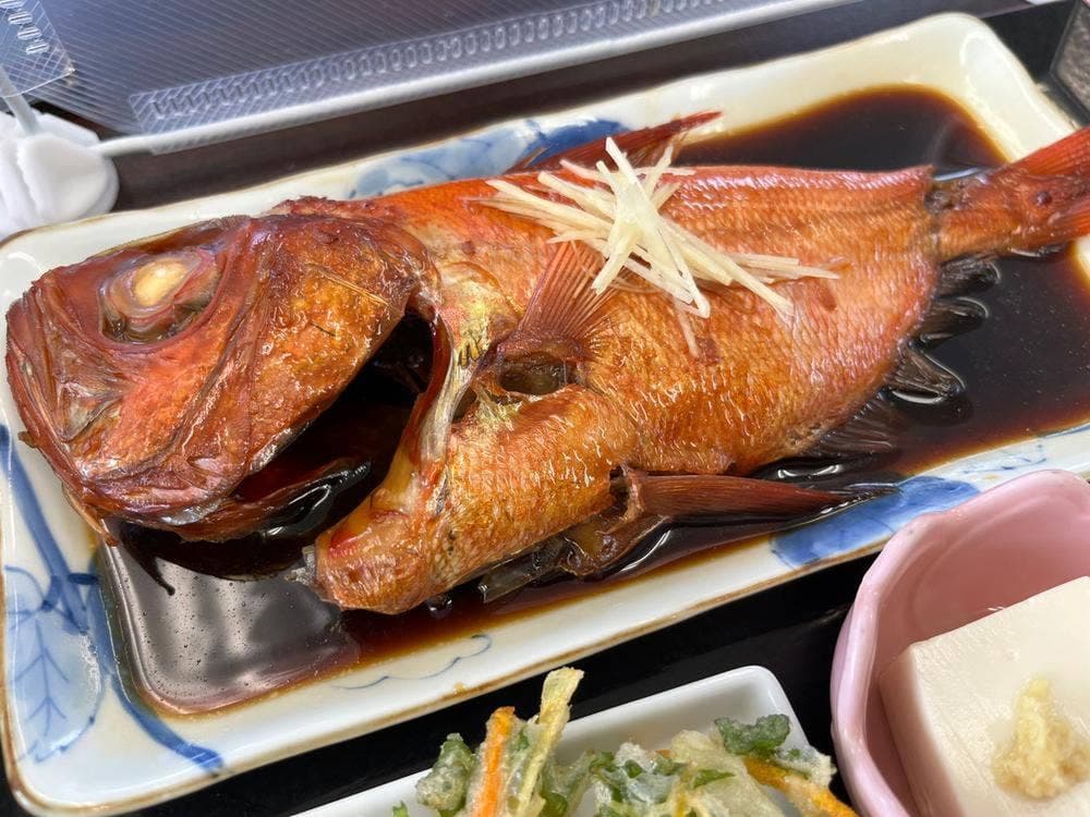 よっちゃーれセンター