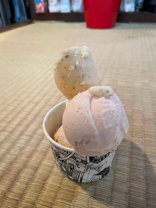 PICARO EIS - サブ画像2