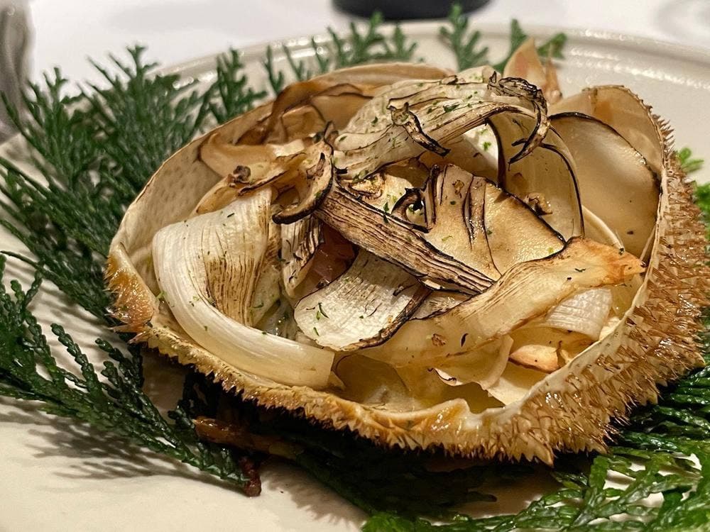 レフェルヴェソンス