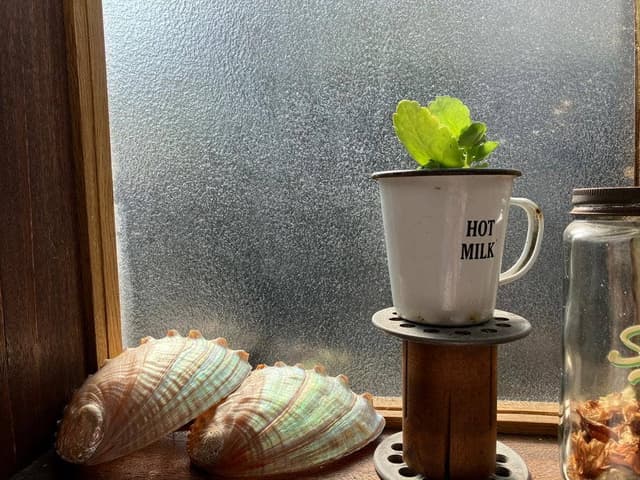 Cafe.Recha - サブ画像1
