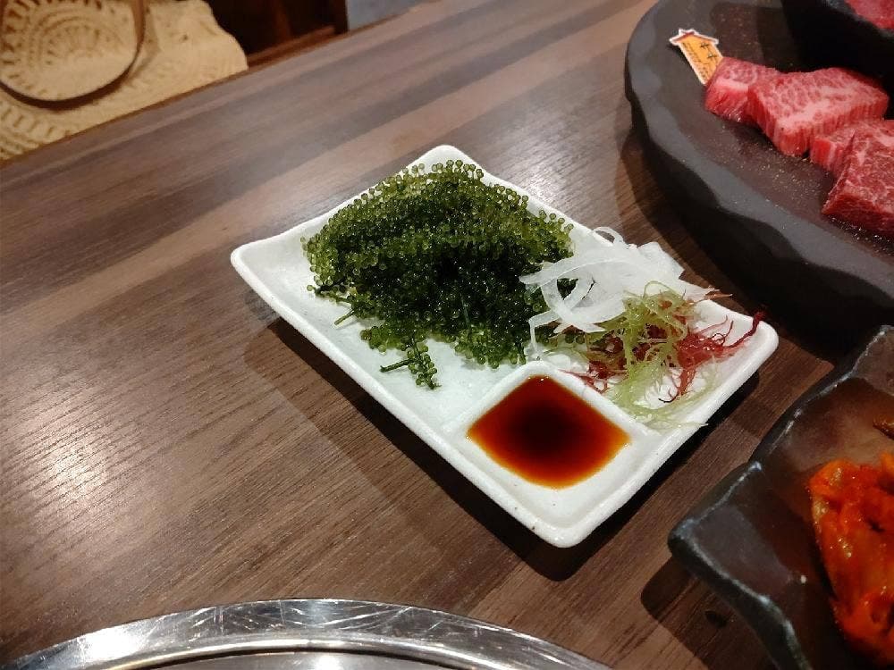 石垣島きたうち牧場 真栄里店