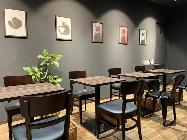 CACAOCAT 半田店 - サブ画像2