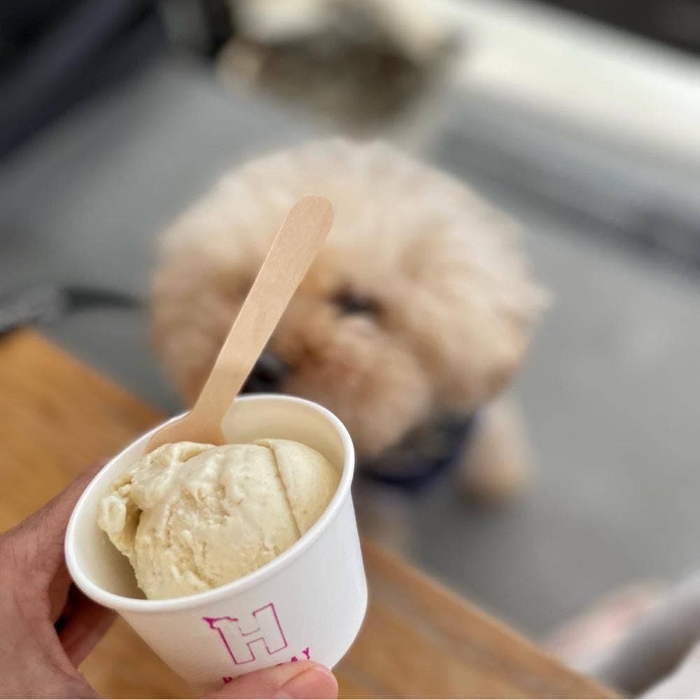 HOLIDAY ICE CREAM STORE