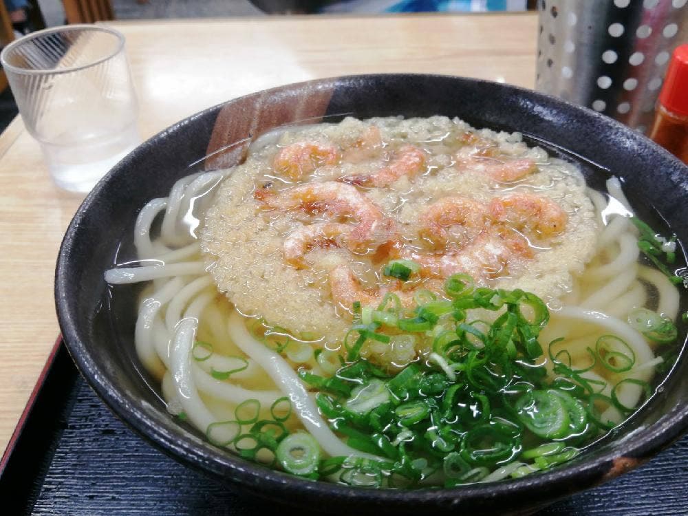 讃岐手打ちうどん わだち