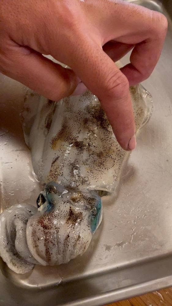 シャック ビッグハウス - サブ画像1