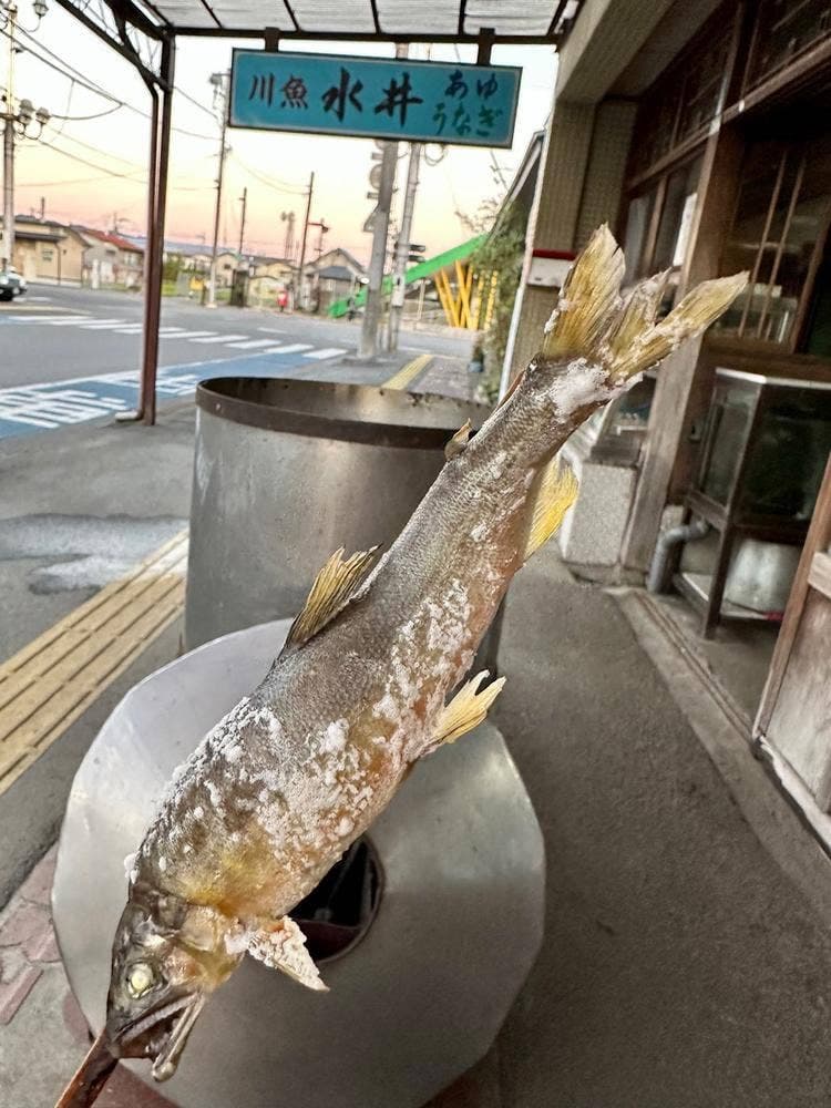 川魚 水井