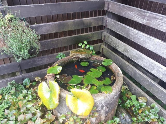 自家焙煎珈琲 神音 - サブ画像3