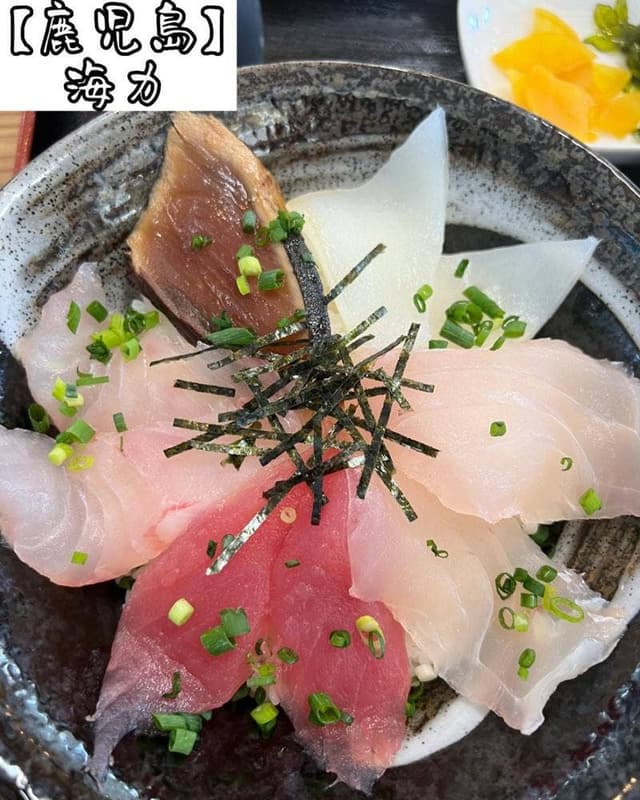 海力 - サブ画像1