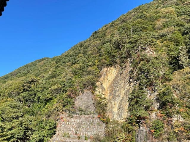 伊東園ホテル尾瀬老神 山楽荘 お食事会場 - サブ画像3