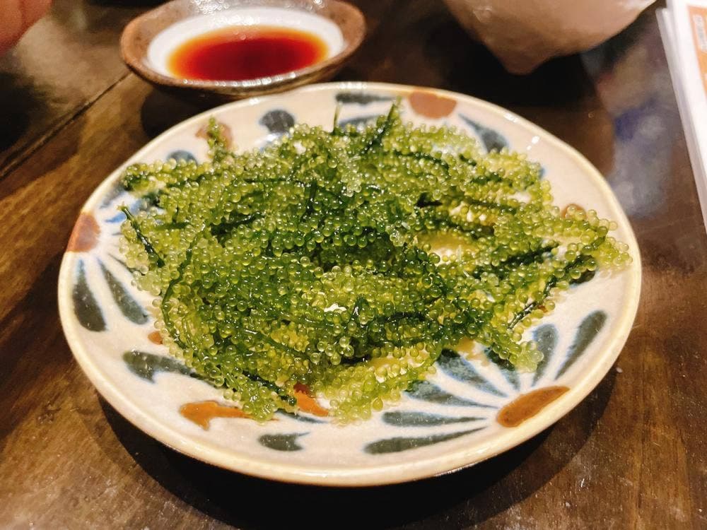 沖縄料理 てぃださんさん