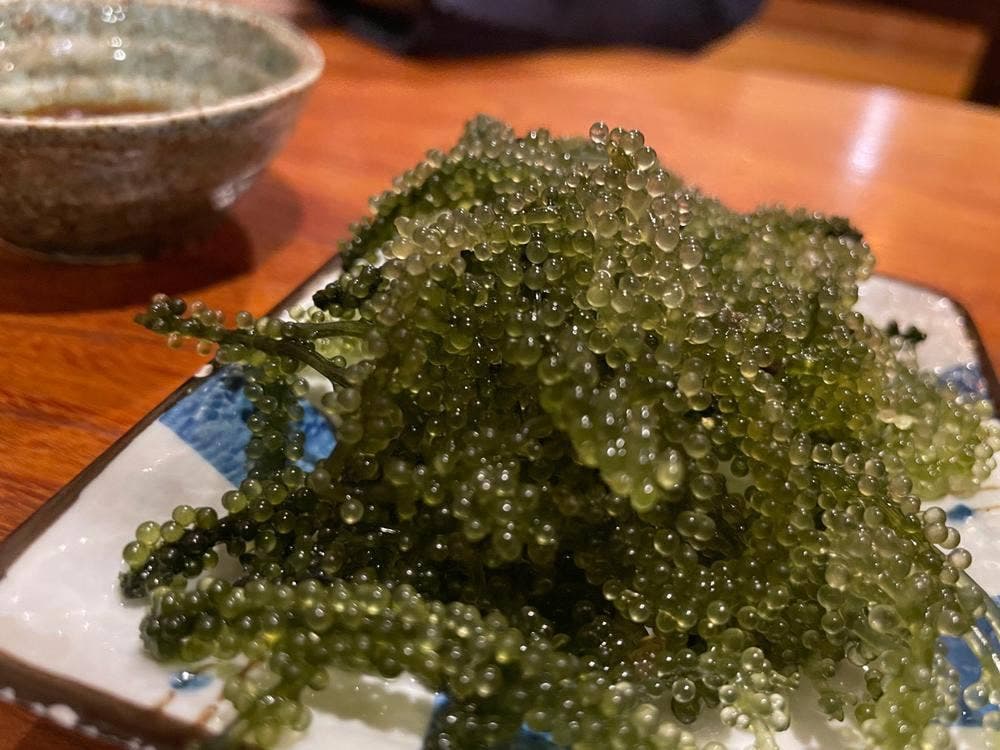 沖縄料理天元