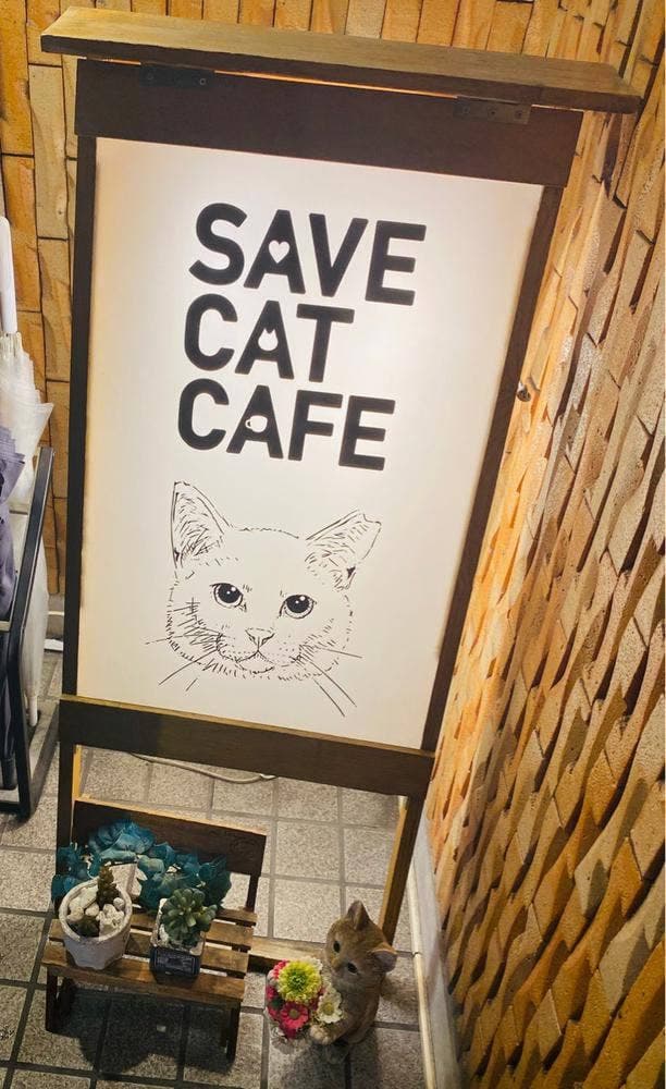 SAVE CAT CAFE - サブ画像1