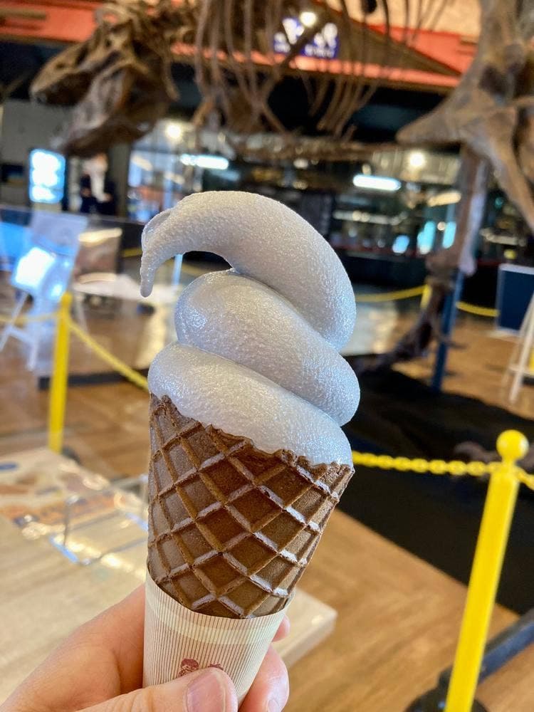 道の駅あびら D51ステーション