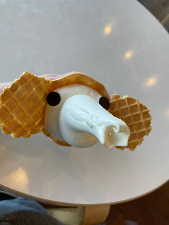 象の鼻カフェ - サブ画像2