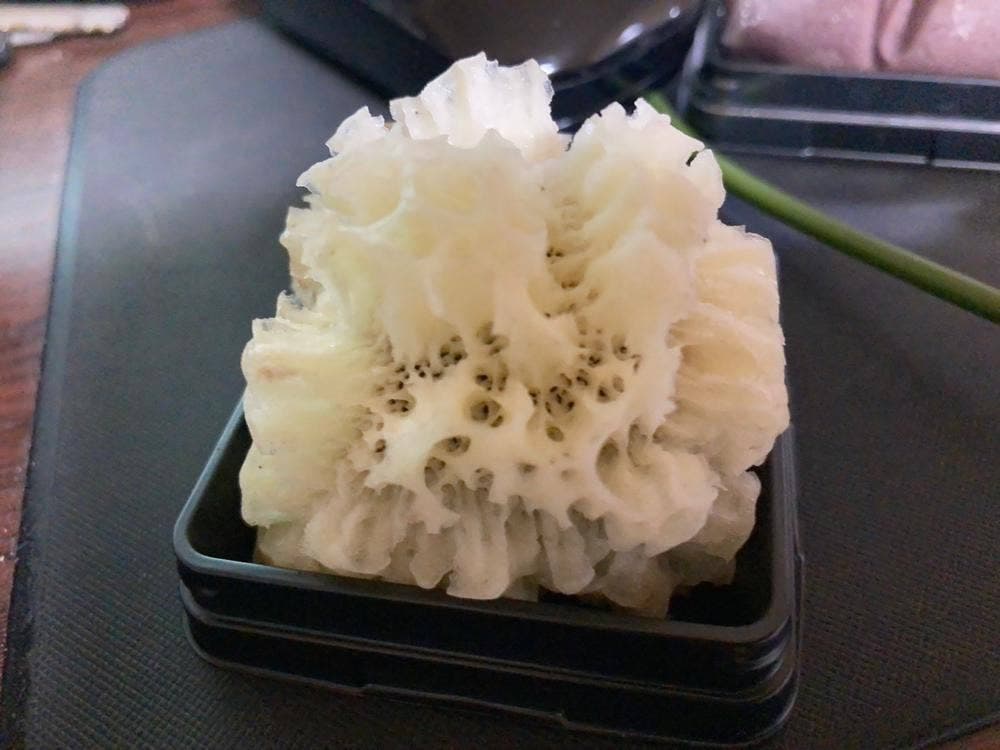 行松旭松堂