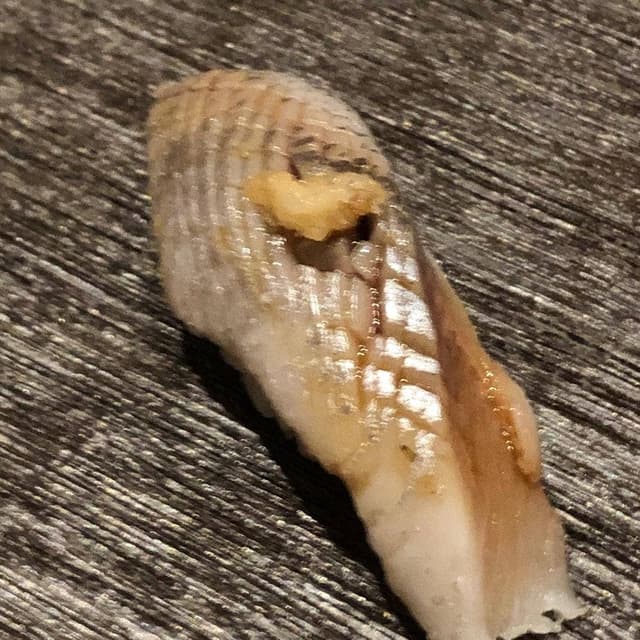 鮨 松もと - サブ画像2