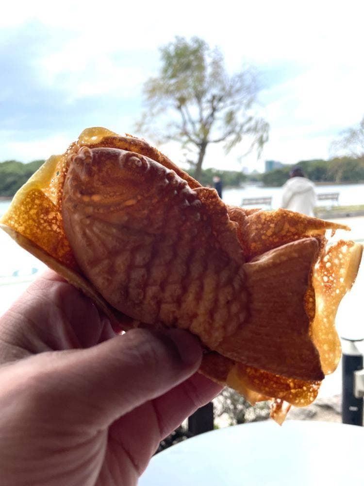 タイヤキカフェMEDETAIYA 六本松