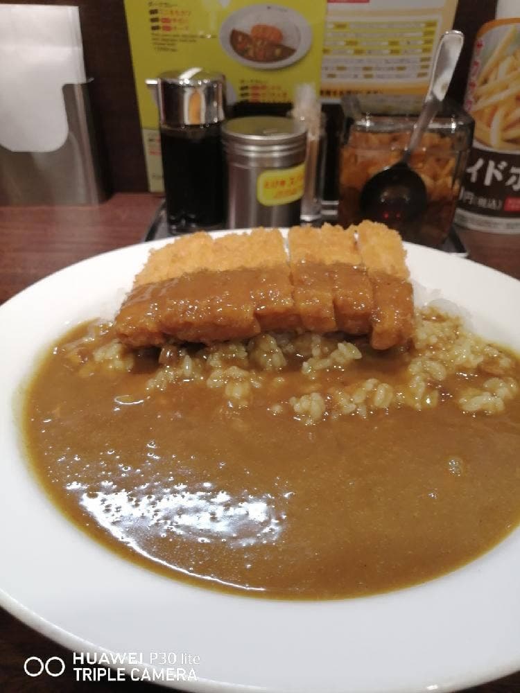 カレーハウスCoCo壱番屋 西武狭山市駅東口店