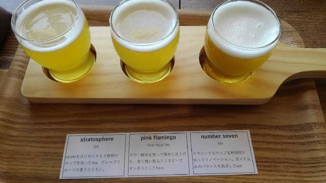 みなとやま水族館 HOODHALL - サブ画像2