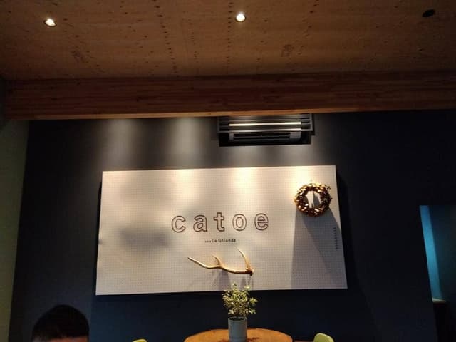 catoe - サブ画像2