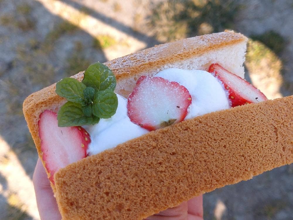 クルックフィールズ シフォン