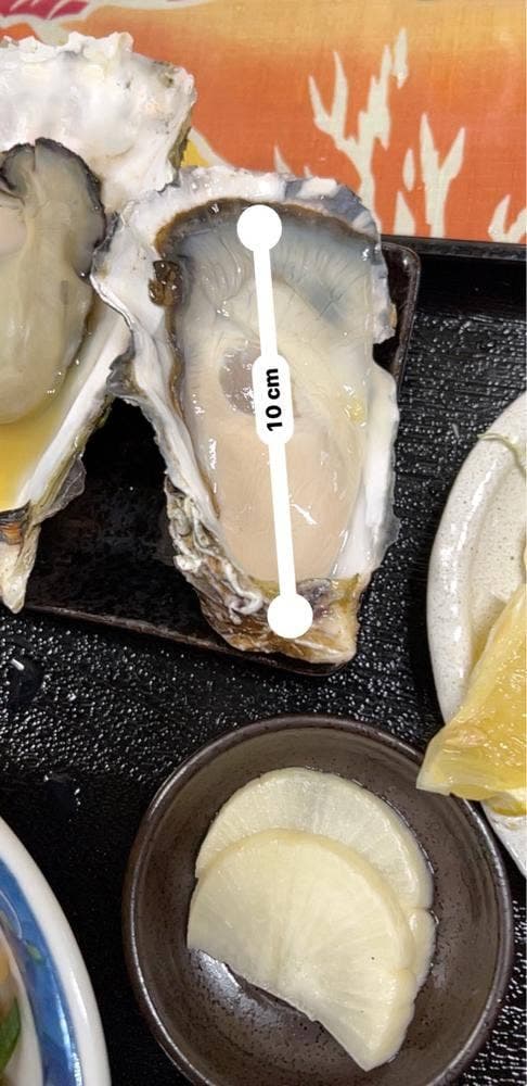 かき小屋 小江戸 - サブ画像1