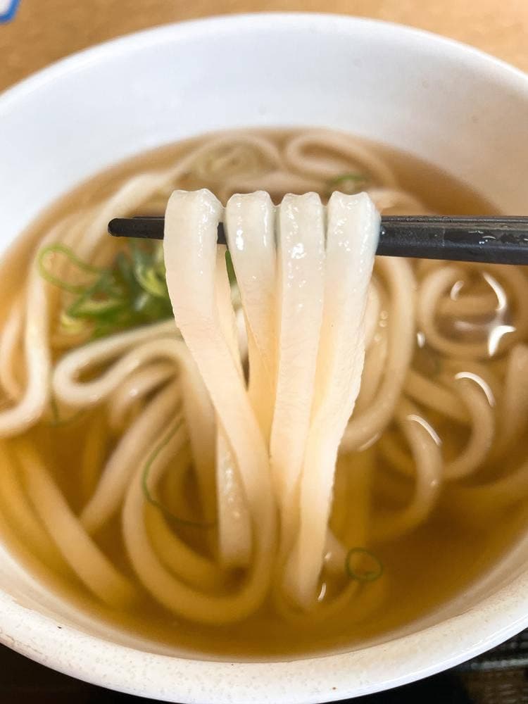 本格手打ち讃岐うどん ふうが